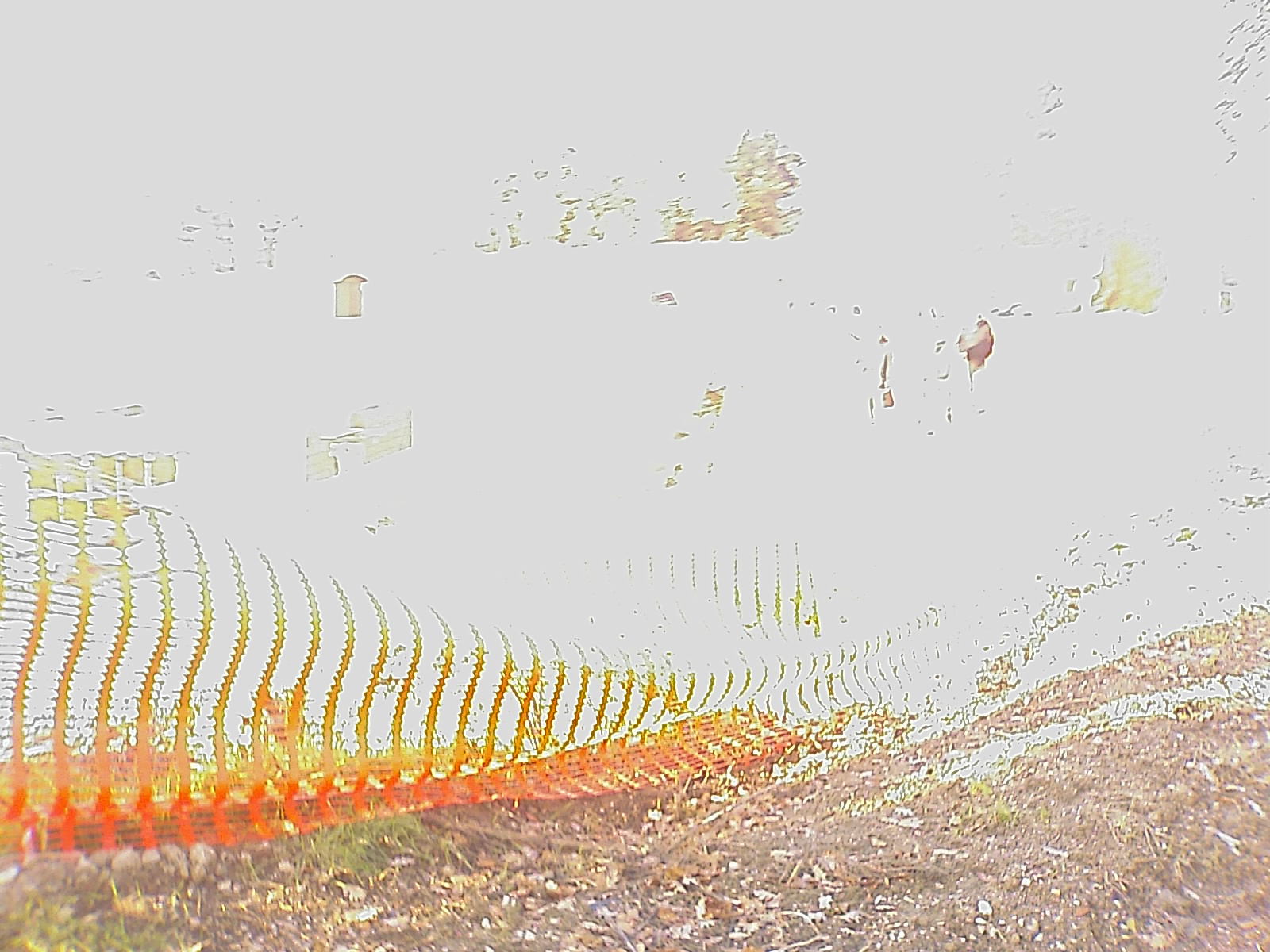 Foto successiva