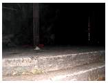 DSCN1027.jpg